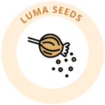 Unwashed Poppy Seeds for bakery use
