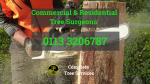 Complete Tree Surgeon Leeds