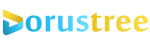 Custom software development company