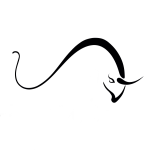 Outdoor & Indoor Rugs Made in Italy