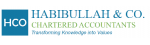 Best Audit Company in India | Habibullah & Co.