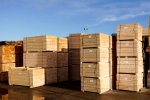 Euro Pallet for sale online - where to buy Euro Pallet