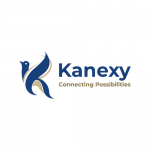 Global Business Consulting Services - Kanexy