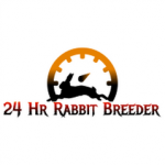 24 Hour Rabbit Breeder| Rabbit Shop| Pet Shop in Nagpur