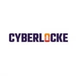 IT Consulting Services in the USA - Cyberlocke