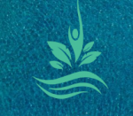 |Swimming Pool Companies