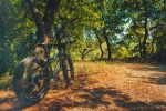 Best Budget fat bike under ?15000 in 2022.