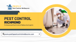 Pest Control Geelong