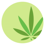 Chamba Cannabis Co | Cannabis Dispensary