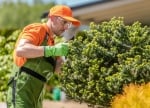Santa Fe Trail Tree Service El Monte