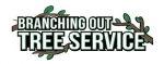Tree Service Suffolk County Amityville