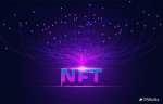 "Building the Future of Digital Ownership: Professional NFT