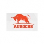 Aurochssolutions