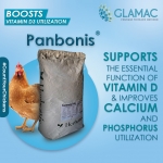 Panbonis: Complementary poultry feed | Glamac