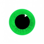 New Solutions for Media & Show