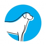 Pawsome Dog care product's Reviews and rating