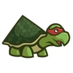 Expert Roofing Services in Texas