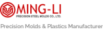 Micro Molding