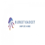 Budget Gadget