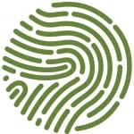 5 Sticks Consulting
