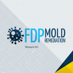 FDP Mold Remediation of Newark