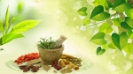 Sex Problem Solution, Herbal Portal for male and female prob