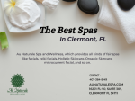 Experience the Best Spa in Florida