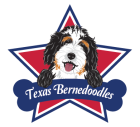 Tx Bernedoodles
