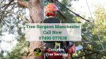 Tree Surgeon Manchester