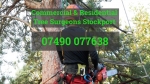 Tree Surgeon Stockport
