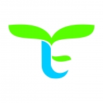 Termite Control in Lahore