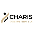 It Consulting Company