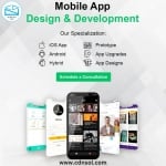 Hire CDN Solutions for affordable app development services