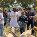 Dog Trainer in South Delhi