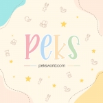 PEKS | International Play School in Ludhiana