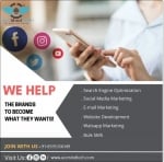 Best Website Designing Company In Delhi NCR