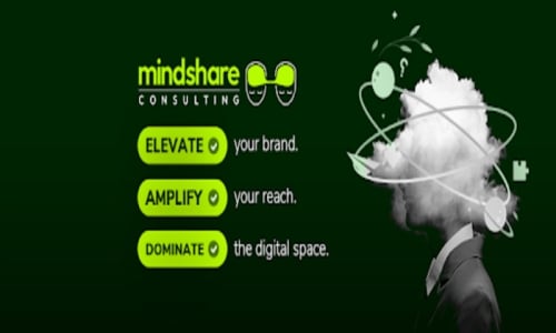 Mindshare Consulting Inc.