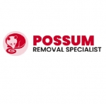 Possum Removal Melbourne