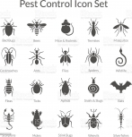 Residential Pest Control in Toronto