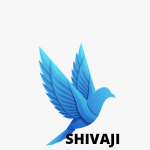 Safety Nets Services in Telangana ?+91-8520082986