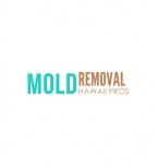 Mold Removal Hawaii Pros
