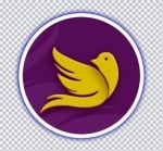 sky larks IT solution