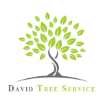 United Tree Care LLC