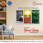 Interior Designs