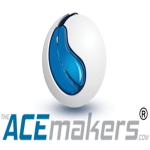 B2C Portal Development: AceMakers Technologies