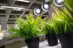 Vendor Shop Ireland | LED Grow Lights & Tents - Get Up and G