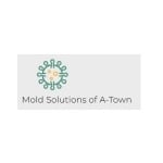 Mold Solutions of A-Town