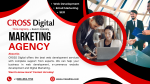 Web design services for small business