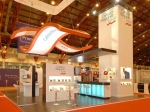 Wow Space Creative Exhibitions