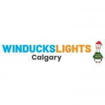 Winducks Lights